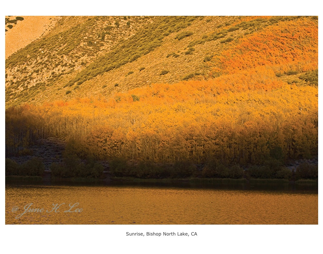 Golden Morning - North Lake