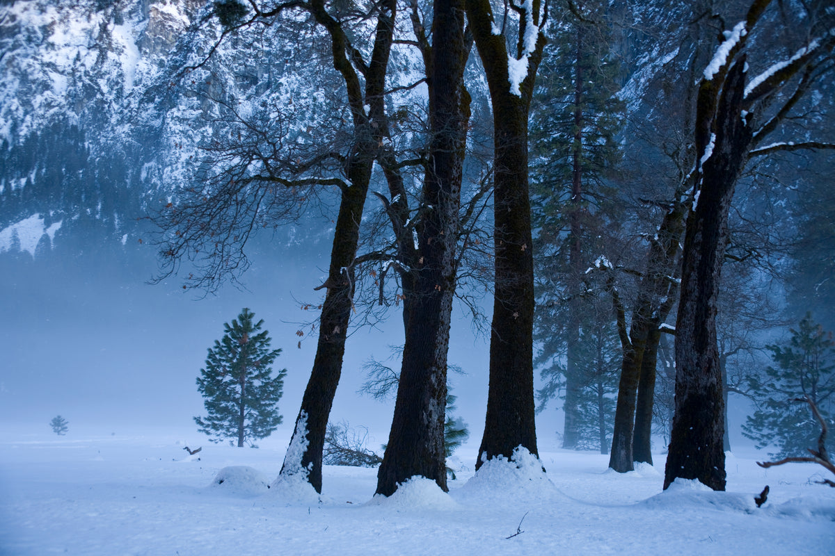 Evening Veil - Yosemite